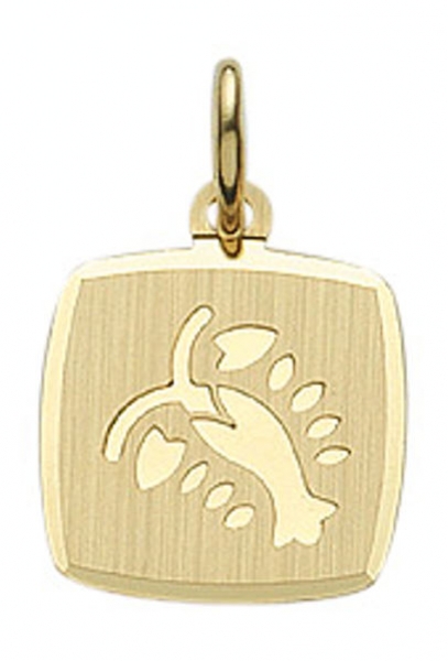 Anh?nger Sternzeichen eckig 11x10mm Krebs 8Kt 333 GOLD