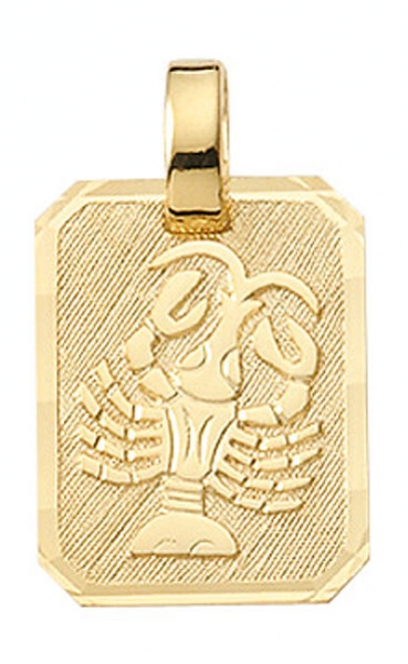 Anh?nger Sternzeichen eckig 12x16mm Krebs 8Kt 333 GOLD