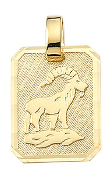 Anh?nger Sternzeichen eckig 12x16mm Steinbock 8Kt 333 GOLD