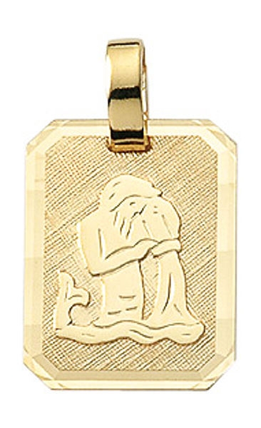 Anh?nger Sternzeichen eckig 12x16mm Wassermann 8Kt 333 GOLD