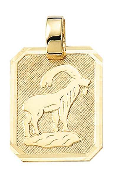 Anh?nger Sternzeichen eckig 15x19mm Steinbock 8Kt 333 GOLD