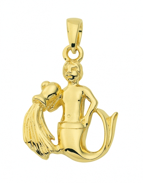 Anh?nger Sternzeichen Wassermann 14Kt 585 GOLD