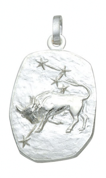 Anhänger Sternzeichen Stier Relief 18x23mm Silber 925