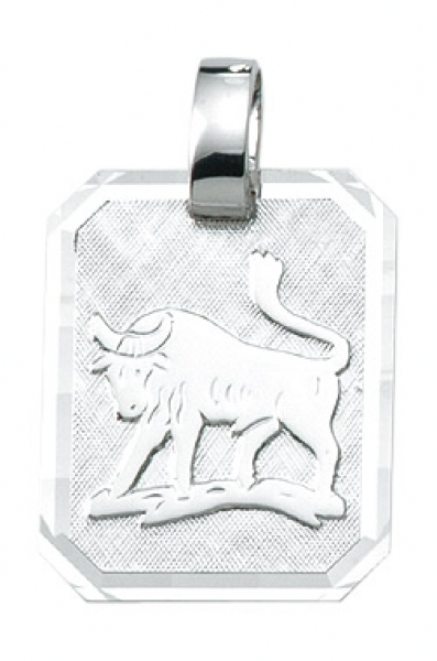 Anh?nger Sternzeichen Stier eckig 16x19mm Silber 925