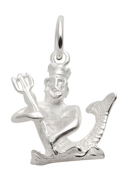 Anh?nger Sternzeichen Wassermann plastisch 22x17mm Silber 925