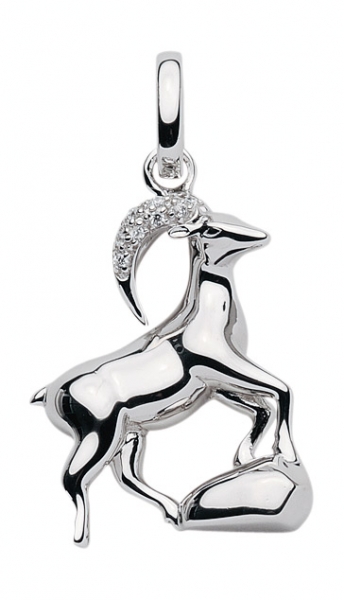 Anh?nger Sternzeichen Steinbock 925 Silber Zirkonia