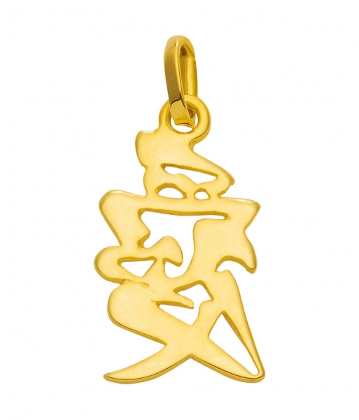 Anh?nger Chinesisches Zeichen Liebe 8Kt 333 GOLD
