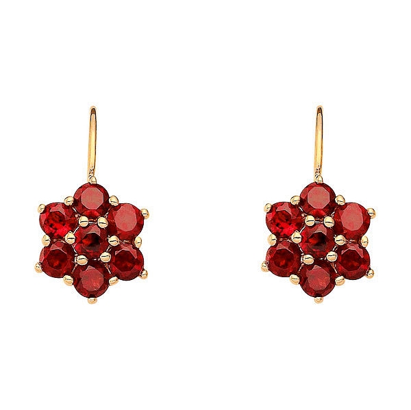 Ohrh?nger Boutons Granat 333 Gold