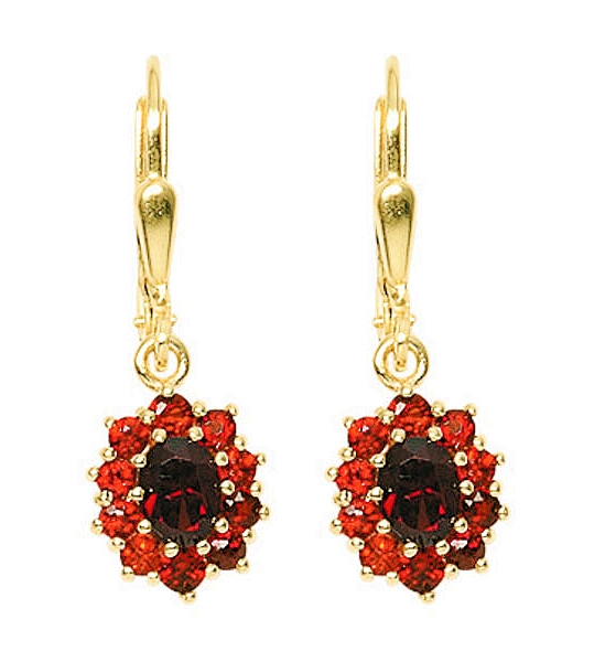 Ohrh?nger mit Brisur Granat 333 Gold
